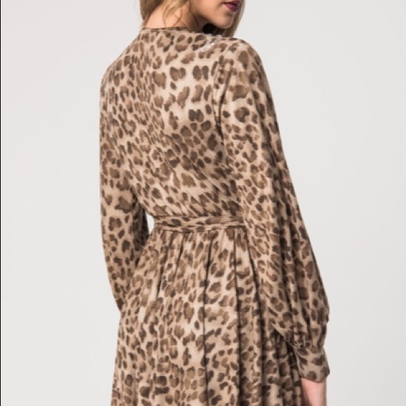 Leopard Dress - Picture 2 of 2